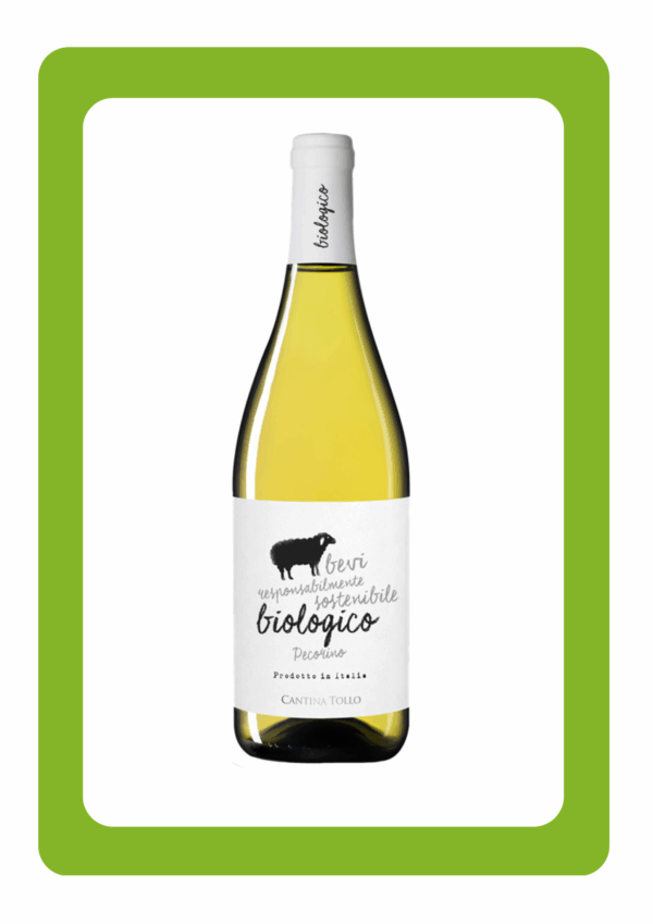 Cantina Tollo Pecorino Bio iTALIË