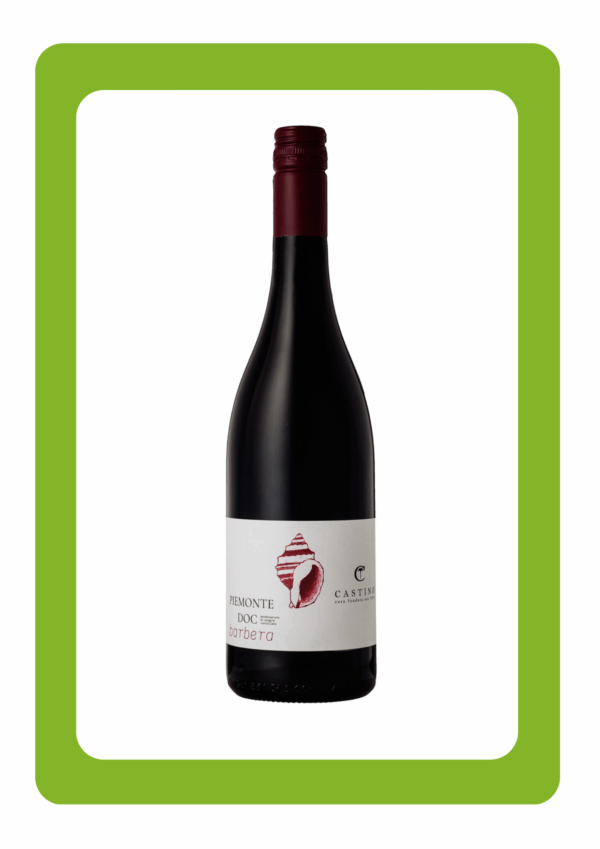 Castino Barbera Italië